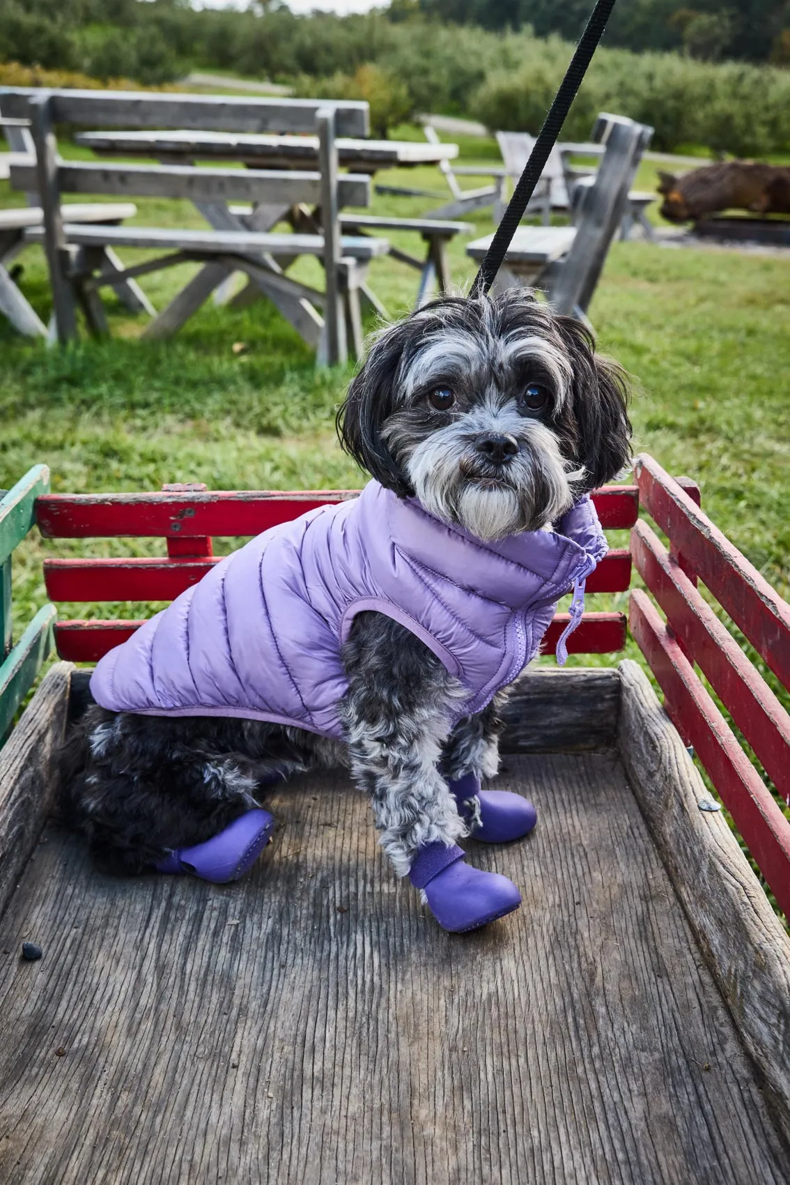 Puffer Vests: New Colors   More Puff