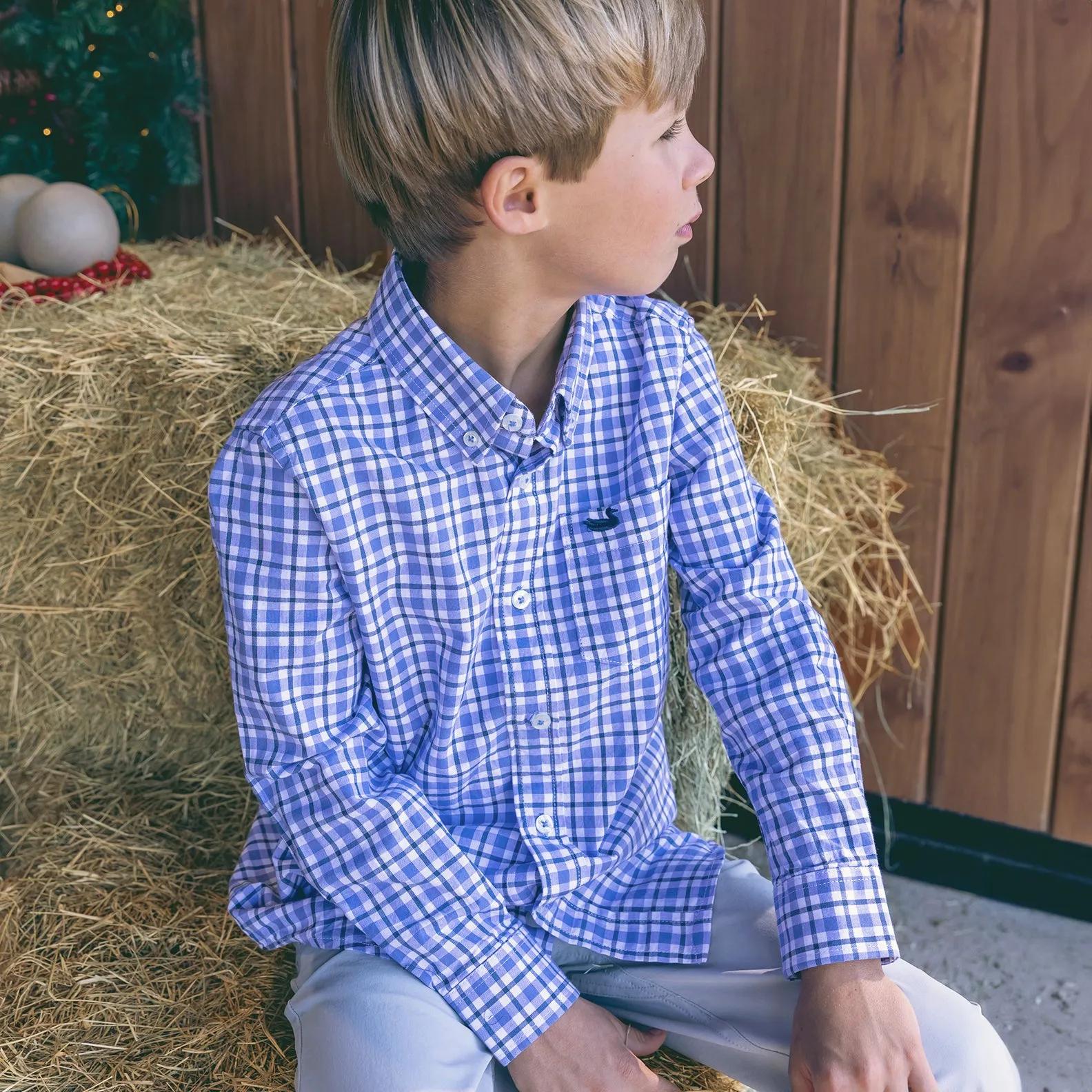 Youth Oak Grove Washed Gingham Dress Shirt